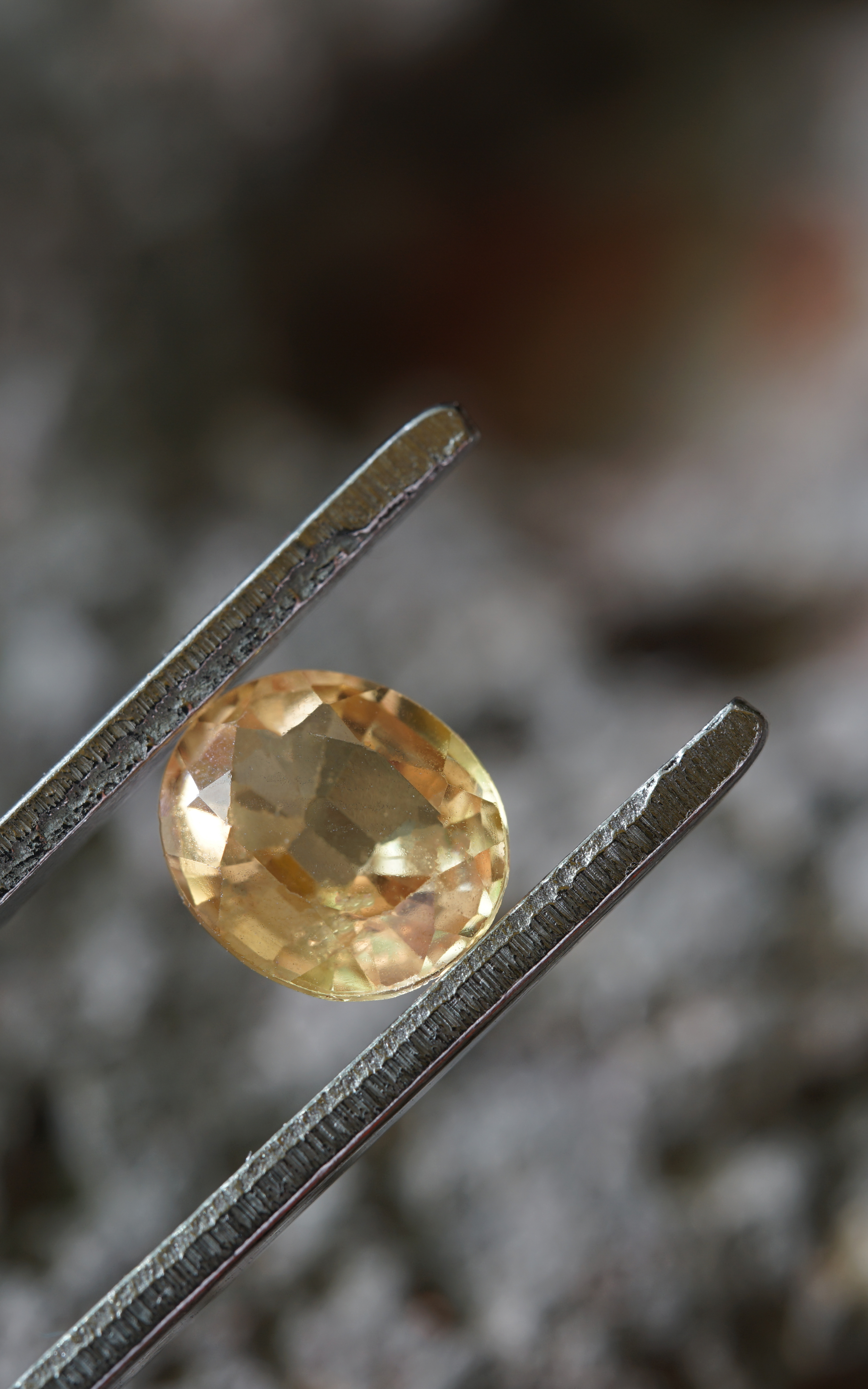 Variety of Accommodations